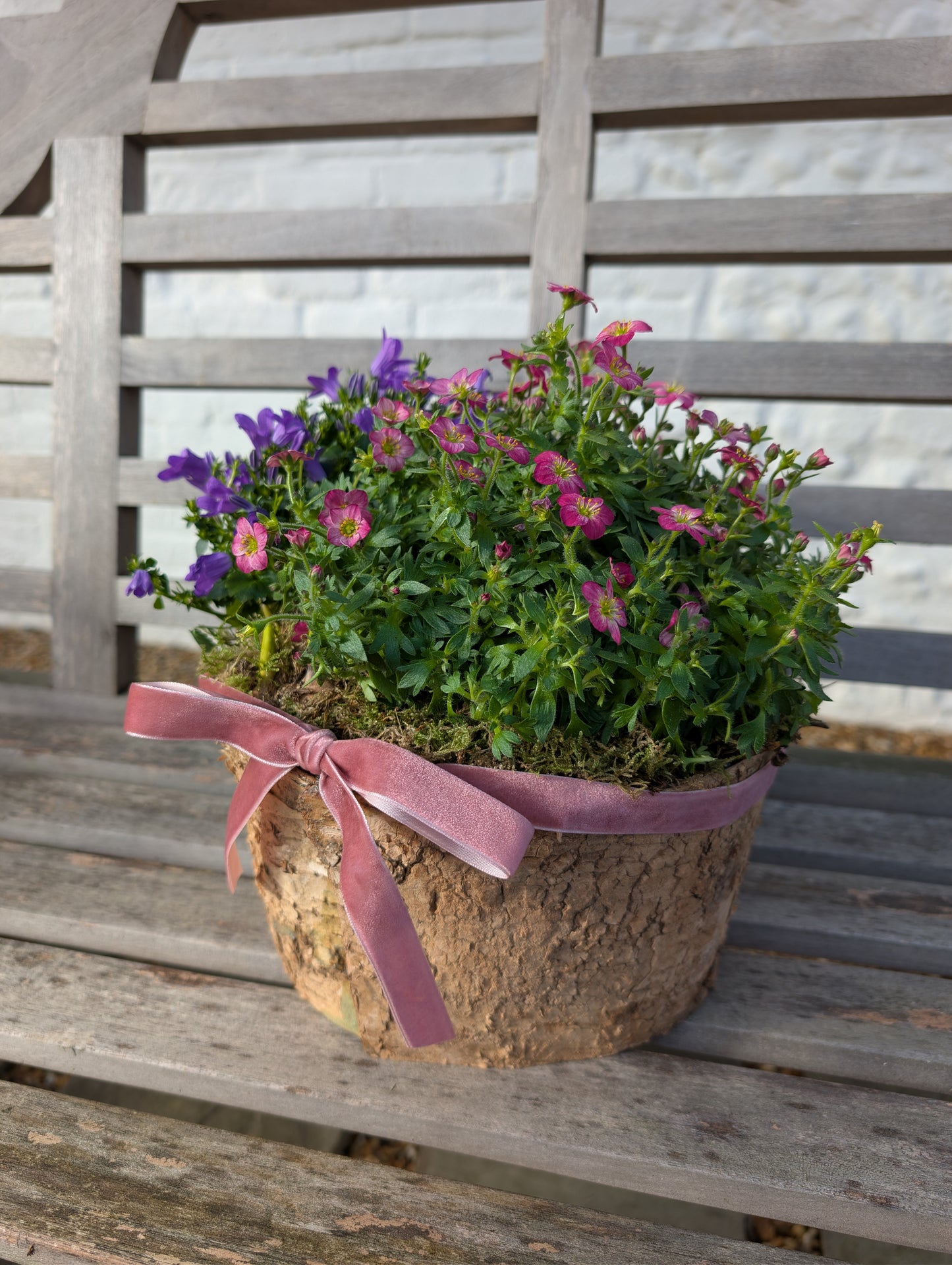 Large Spring Planter