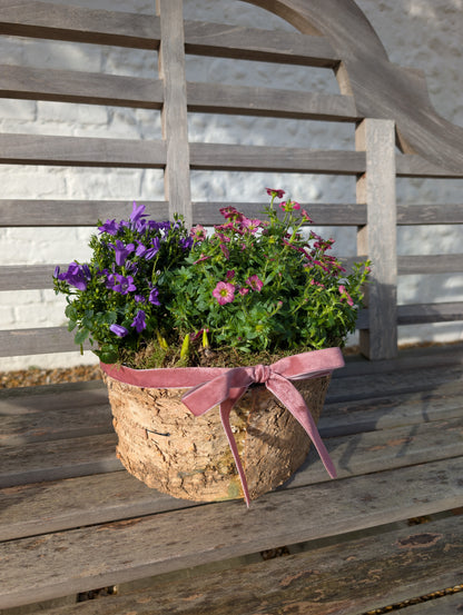 Large Spring Planter