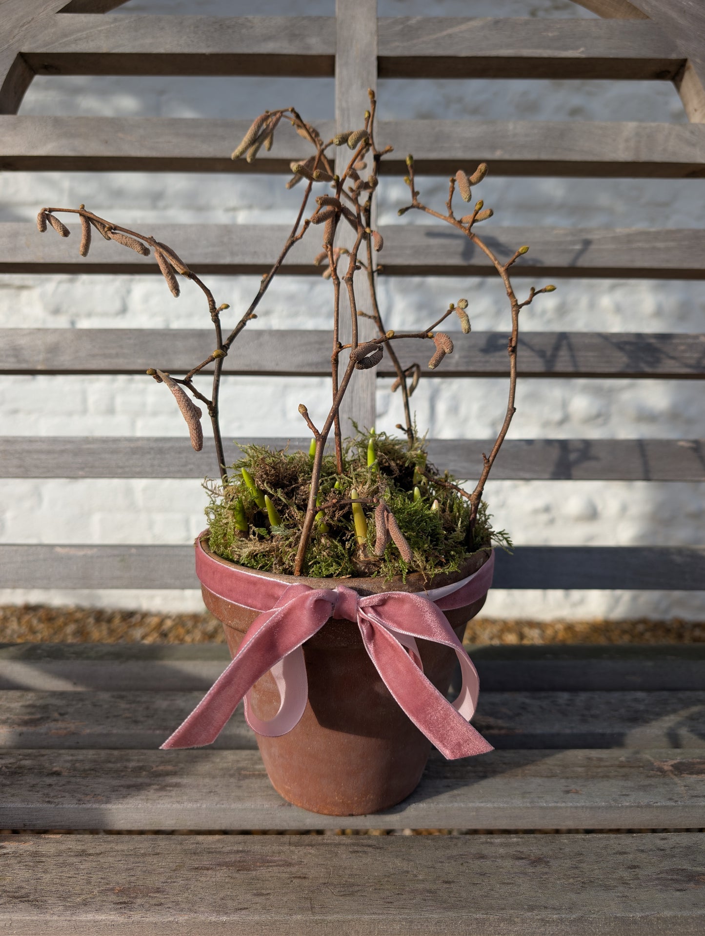 Small Spring Bulb Planter