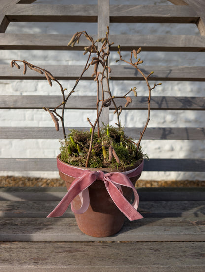 Small Spring Bulb Planter