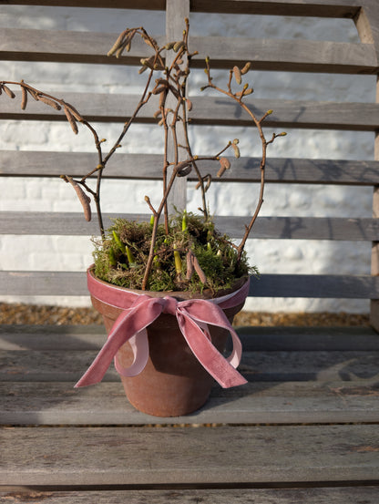 Small Spring Bulb Planter